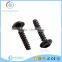 Tapping steel phillips pan washer head screw