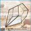 Hot sale indoor plant glass terrarium clear glass geometrical hanging terrarium-removable glass terrarium