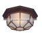 China supplier new product vintage fan shape ceiling lighting