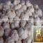 Garlic Oil Garlic Seed Oil Factory Bulk Price