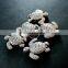 16x18mm vintage antiqued silver sea turtle engraved flat alloy beads DIY beading supplies 3993018