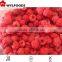 frozen raspberry 2015 best price high quality