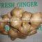 Fresh air dried Ginger