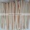 Plastic Bag for the Coffee Stirrers