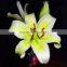 Fresh cut flower lily made in China