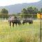 High voltage lightning arrester for farm electric fence energizer,15KV High pressure resistant,