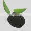 soluble humic acid organic carbon fertilizer for green and health
