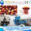 Cheapest and easy operating palm kernel oil miller palm kernel oil press machine