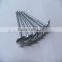 galvanized umbrella plastic head roofing nail,red head