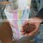 PE PP Pellet Machine Price Plastic Pellet Making Machine Plastic Granulator