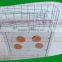 no pollution fresh orange juice Citrus juicer electric