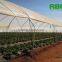 Tunnel Greenhouse film cover low cost agricultural farm Steel Frame comercial green house single span