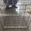 Mexico market Galvanized gabion mesh