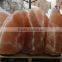 Himalayan salt lamps/Natural Salt Lamps/ Rock Salt Lamps/ Pakistan Salt Lamps