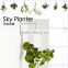 Plastic Sky Planter Creative Decorative Home Mini Sky Garden Flower Pot Beauty Sky Planter
