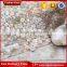 North america Designer home decor penny round shell mosaic tiles