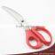 High Quality Stainless Steel Kitchen Chicken Bone Curve Scissors