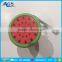 Reliable quality beautiful Watermelon Fruit water bottle
