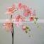 Wholesale Silk Orchid Flowers And Supermarkets Selling Products in The European
