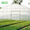2019 Easily Assembled Plastic Film Tube Tunnel Greenhouse