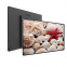 55''  Wall Mounted Digital Signage Advertising Display