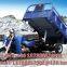 tricycle 150cc 175cc 200cc 250cc Africa middle east south asia hot sale gasoline tuktuk EV