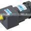 110v/220v, electric AC micro gear motor