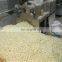 Full Automatic Modified Corn Starch Production Line Capacity 500kgs/hr