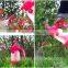 2018 NEW PRODUCTS 1.8L garden pressure sprayer