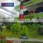 Professional OEM exhibition models including bridge building model and car miniature model