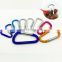 Personalized Outdoor Spring Snap Custom Carabiner Clip And Hook