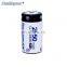 Customized logo 1.2V 2750mAh rechargeable c size battery