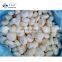 Sinocharm New Season Fresh IQF Peeled Water Chestnut Frozen Whole Water Chestnut
