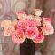 Direct Farm Supply Wholesale Real Touch Fresh Cut Rose Flower for Wedding Decoration