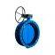 D341X Double Flange Concentric Butterfly Valve