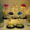 Led Galaxy 24k Gold Eternal Rose Light Up Rose Flower Gift Glass Dome Flower Lamp For Home Christmas Decorative Holiday Lighting