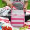 2015 tote picnic bag , ice bags, lunch bags insulated