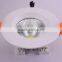 COB DownLight 30W Main in china indoor cob chip led downlight