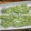 Fresh factory direct supply antirrhinum cut flower from china
