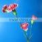 Good smell hot-sale fresh carnation flower bouquet