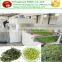 Professional continuous Green Tea Microwave Drier for drying