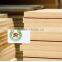 smooth MDF board/competitive price MDF boards in china/MDF wood boards for furniture
