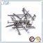 Wire nail steel common nails