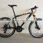 LionHero MTB Europe and America hot sale bicycle
