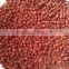 India Origin Gloriosa Superba Seed - Treatment for Cholrea