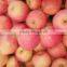 Qinguan Apples/Fresh Qinguan Apples/Delicious Qinguan Apples