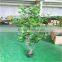 artificial plant banyan tree