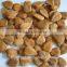 Supply with Chinese New Crop Bitter Apricot Kernels with Good Quality for Sales