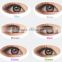 Korea colored contact lenses Giyomi Bambi violet wholesale color contacts lens 6 colors available most popular in 2014
