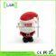 Fashion Christmas gift / Stocking plastic USB flash drive / CE Rohs FCC approved / Original chip